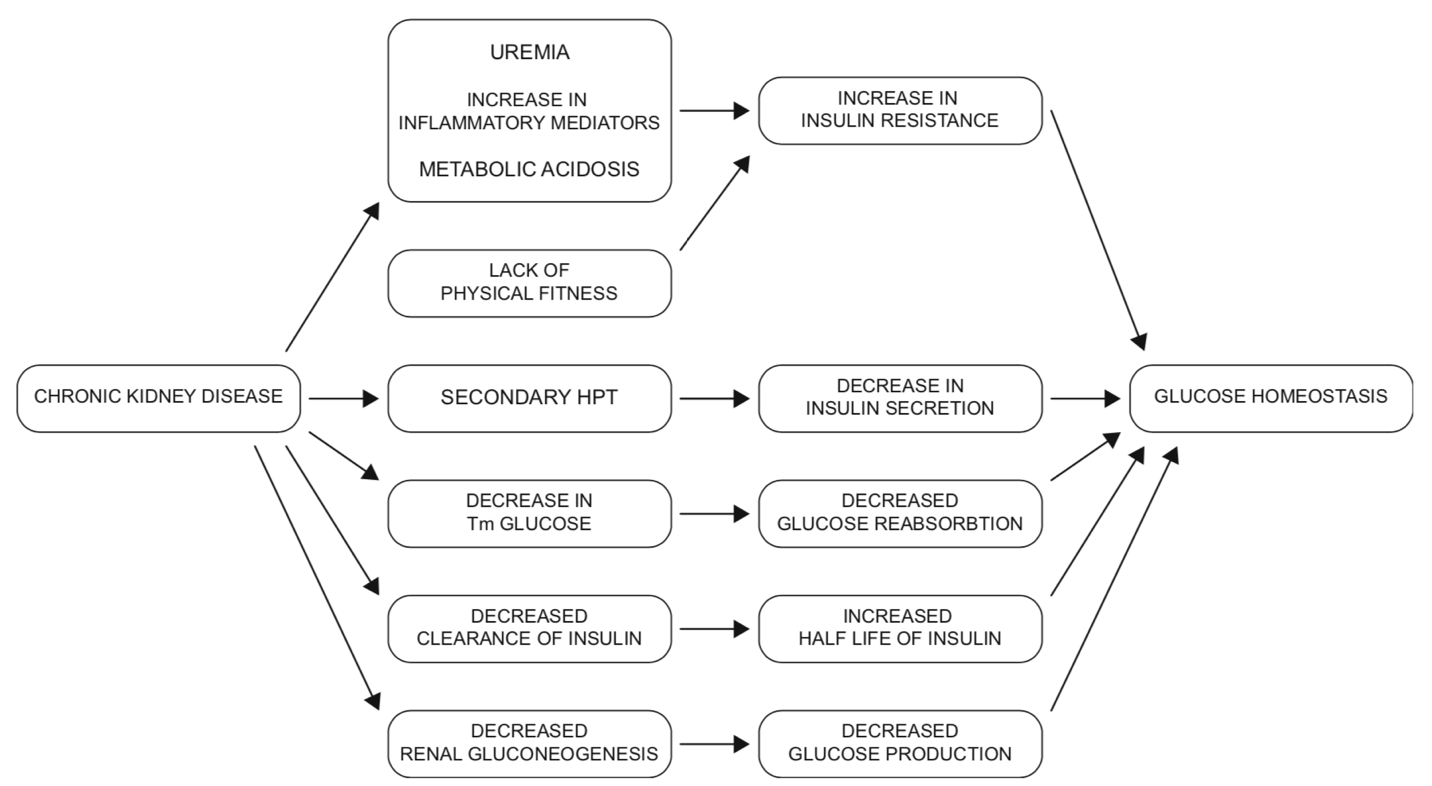 CKD factors affecting BG