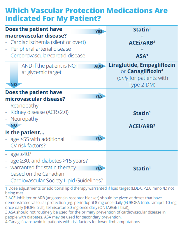 vascular algorithm